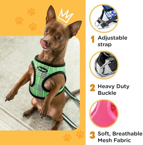 Bark Appeal Skull Multi Step-in Dog Harness