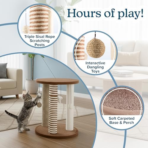 Cat Scratching Post