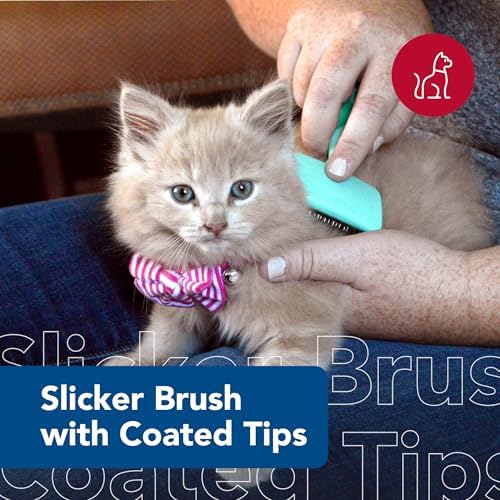 Coastal Pet Lil Pals Kitten Slicker Brush