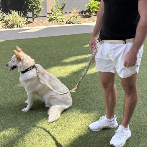 Shed Defender Hands Free Dog Leash Belt