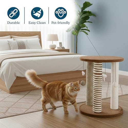 Cat Scratching Post