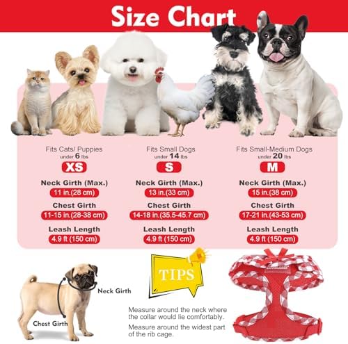 EXPAWLORER Step-in Dog Harness Small Sized and Leash Set