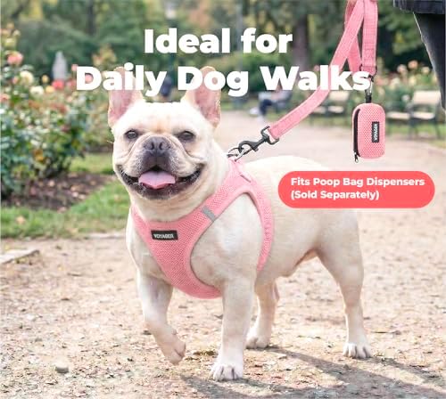 Best Pet Supplies Voyager Nylon Dog Leash