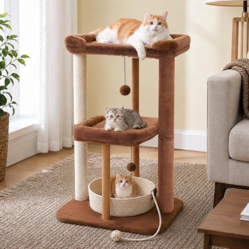 PAWZ Road Modern Cat Tree Removable Woven Bed, Wood Cat Tower