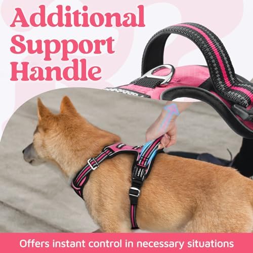 rabbitgoo Dog Harness Medium Sized, No Pull 3 Buckles Easy On & Off