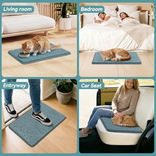 Bcoimo Super Absorbent Cat Door Mat