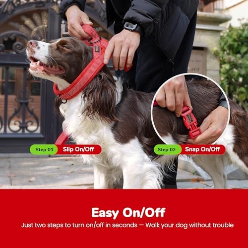 Didog No Pull Dog Harness for Small Dogs, Breathable Mesh Padded