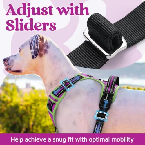 rabbitgoo Dog Harness Small Sized, No Pull 3 Buckles Easy On & Off