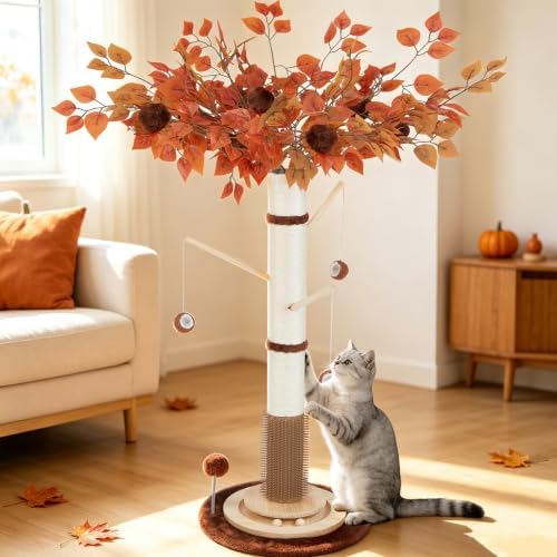 Cat Scratching Post