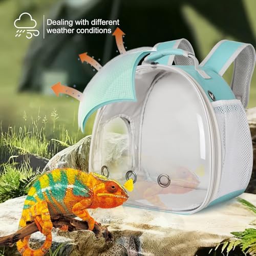Guinea Pig Backpack Carrier, Bearded Dragon Carrier Backpack