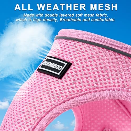 Dog Harness with Leash Set, Step-in Adjustable Puppy Pet Vest
