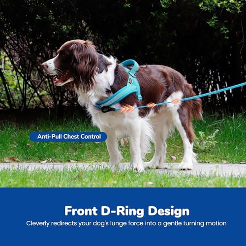 Didog No Pull Dog Harness for Small Dogs, Breathable Mesh Padded