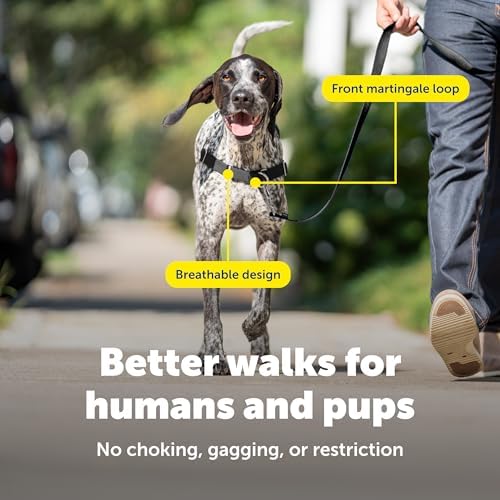PetSafe Easy Walk Harness