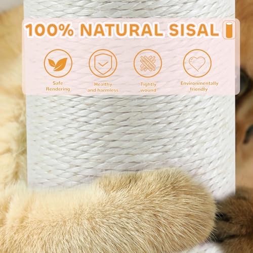 Cat Scratching Post