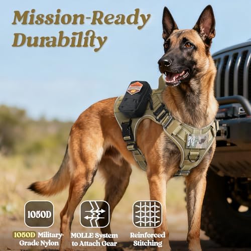 rabbitgoo Tactical Dog Harness for Small, Heavy Duty Military No Pull Vest
