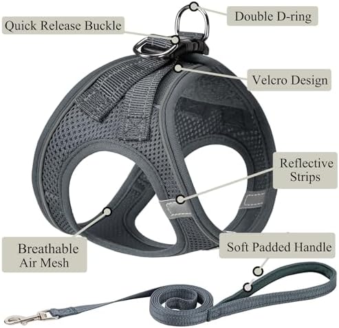 Dog Harness with Leash Set, Step-in Adjustable Puppy Pet Vest