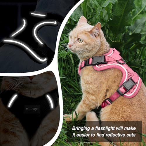 Cat Harness, Cat Harness and Leash