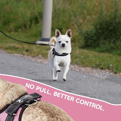 No Pull Reflective Adjustable Dog Harness