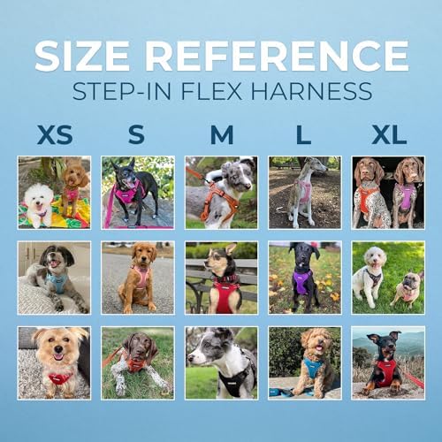 Voyager Step-in Flex Adjustable Dog Harness