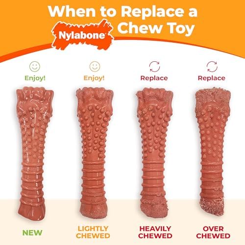 Nylabone Power Chew Classic Bone Chew Toy