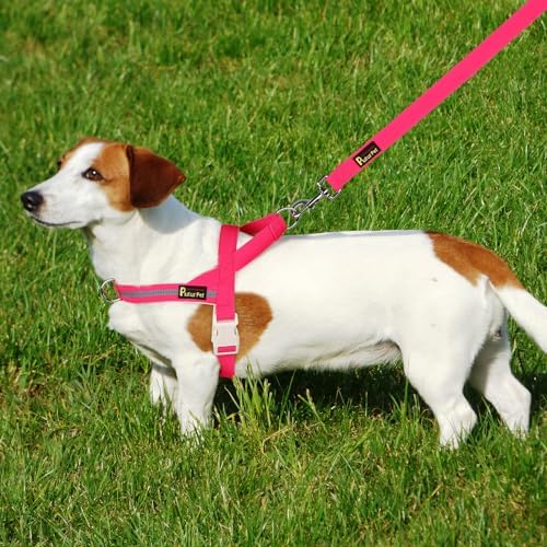 Plutus Pet Cotton Dog Harness and Leash Set, Reflective and Soft Padded