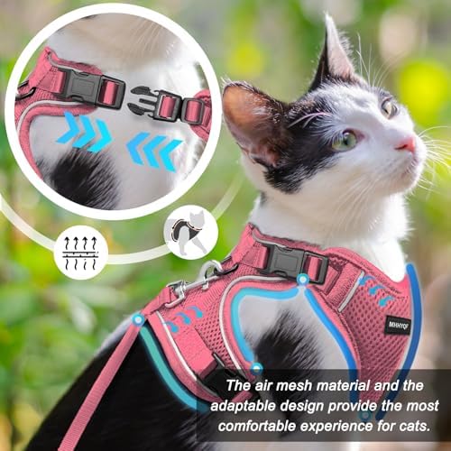 Cat Harness, Cat Harness and Leash