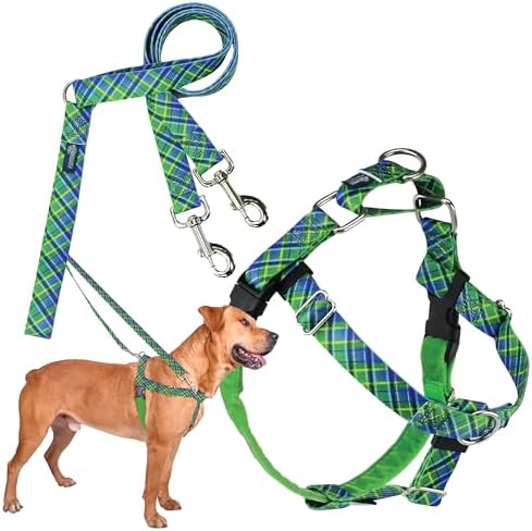 2 Hounds Design
