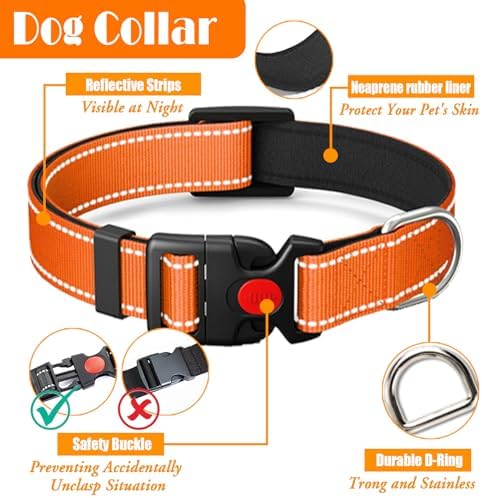 LOBEVE No Pull Dog Harness, Collar & Leash Set