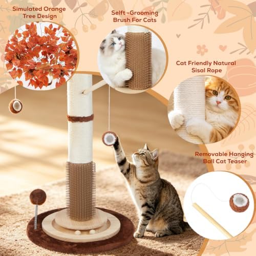 Cat Scratching Post