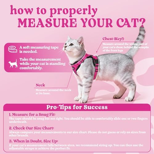 rabbitgoo Cat Harness and Leash Set, Escape Proof Vest, Rose Red