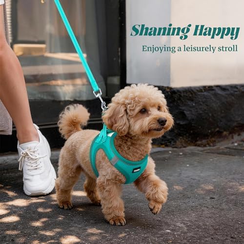 No Pull Dog Puppy Harness and Leash Set Reflective Mesh Vest Medium