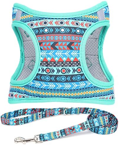 Step in Air Dog Harness Leash Set- All Weather Reflective No-Pull Padded Mesh