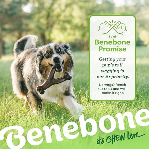 Benebone 2-pack Wishbone/Dental Durable Dog Chew Toys, Real Bacon