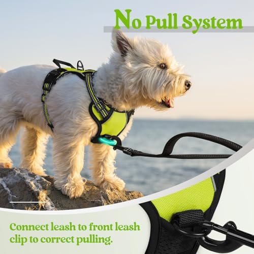 rabbitgoo Dog Harness No Pull