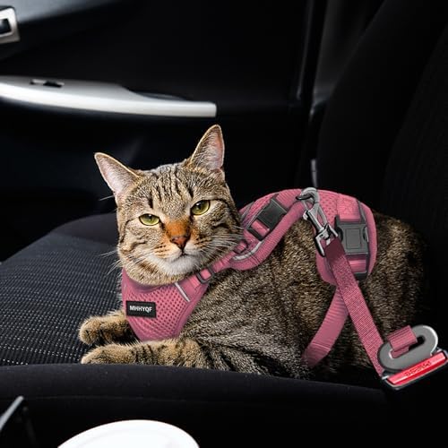 Cat Harness, Cat Harness and Leash