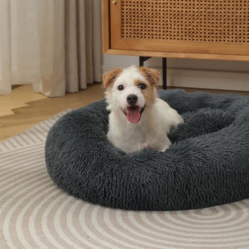 Large Donut Dog Bed Cat Bed Pet Pillow Dog Cave Bed Dog Beds Large Sized Pet