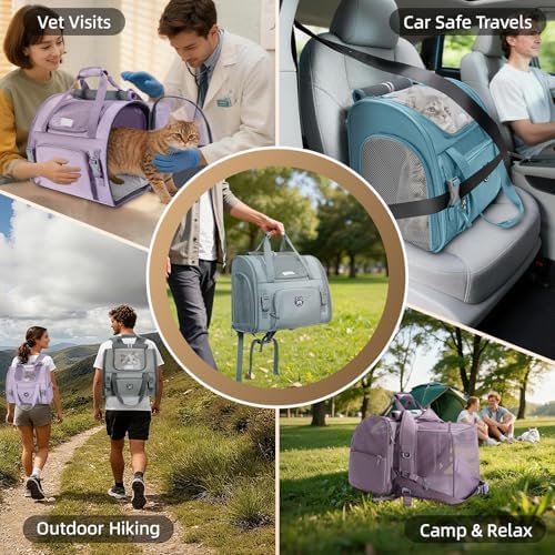Lollimeow Expandable Large Cat Carrier Backpack, Supports up to 14 lbs