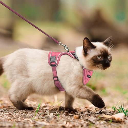 Cat Harness, Cat Harness and Leash