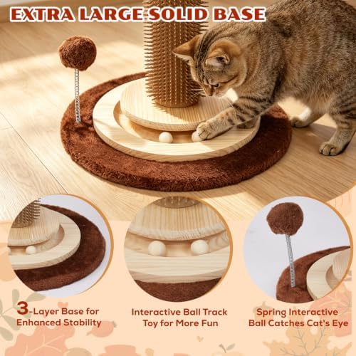 Cat Scratching Post