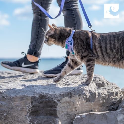 RC Pets Adventure Kitty Harness Includes Adjustable, Airmesh Fabric