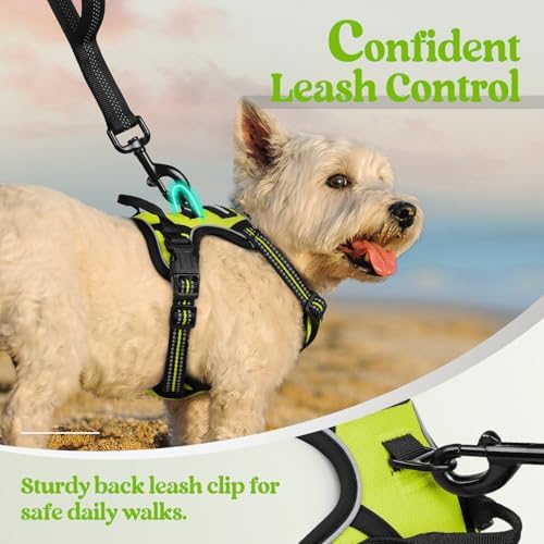 rabbitgoo Dog Harness No Pull