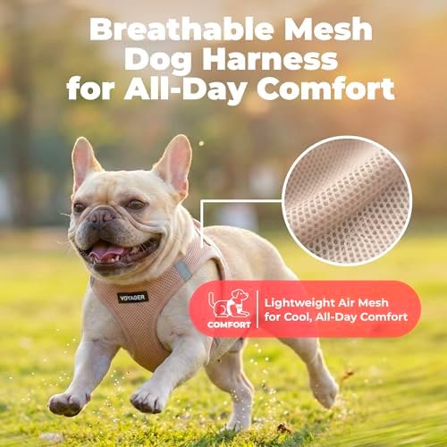 Voyager Step-in Air Dog Vest Harness
