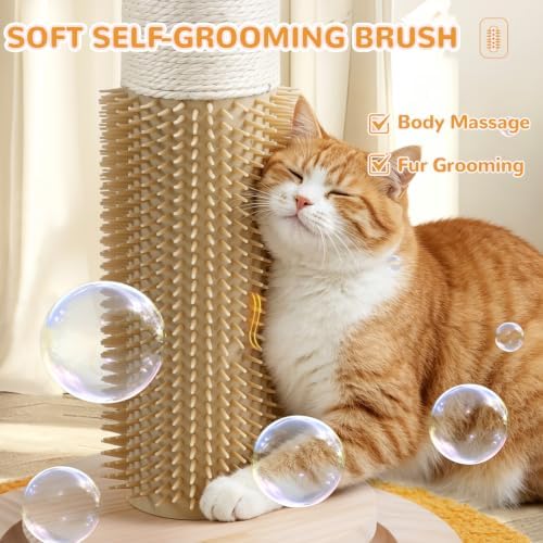Cat Scratching Post