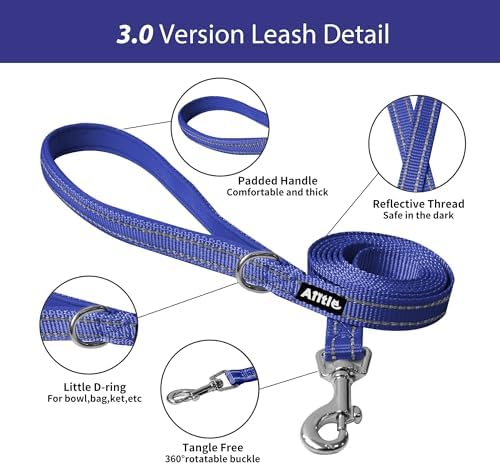 AIITLE Dog Harness and Leash Set, Step-in Puppy Pet Vest, Royal Blue XS
