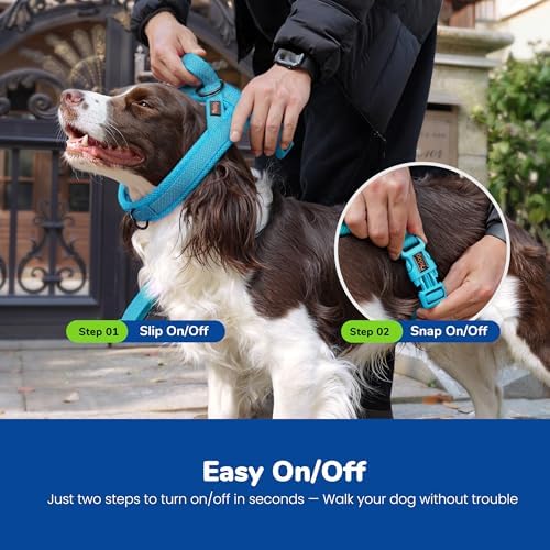 Didog No Pull Dog Harness for Small Dogs, Breathable Mesh Padded