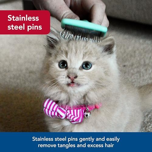 Coastal Pet Lil Pals Kitten Slicker Brush
