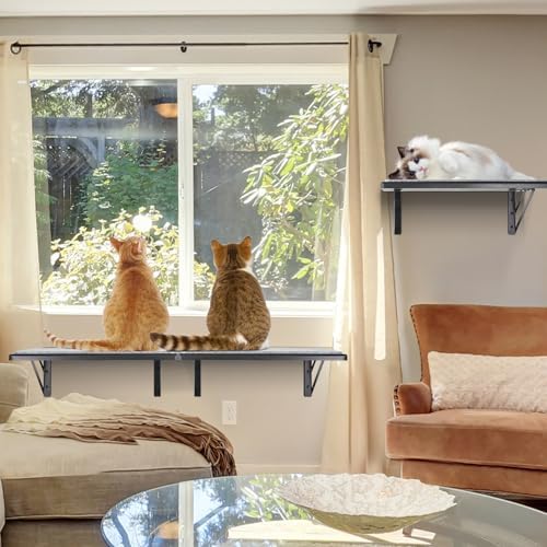 Cat Wall Shelves Set of 4, Purrfect Cat Furniture Set
