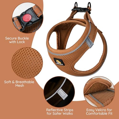 BELLA & PAL Step in Puppy Harness and Leash Set