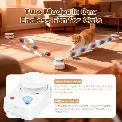 Interactive Cat Toy for Indoor Cat, Automatic Treadmill for Exercise