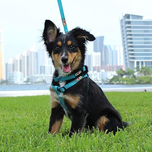 Pawtitas Recycled Reflective Step-in Dog Harness – Adjustable No-Pull Vest